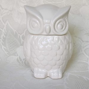 Ceramic White Owl Canister / Trinket Box